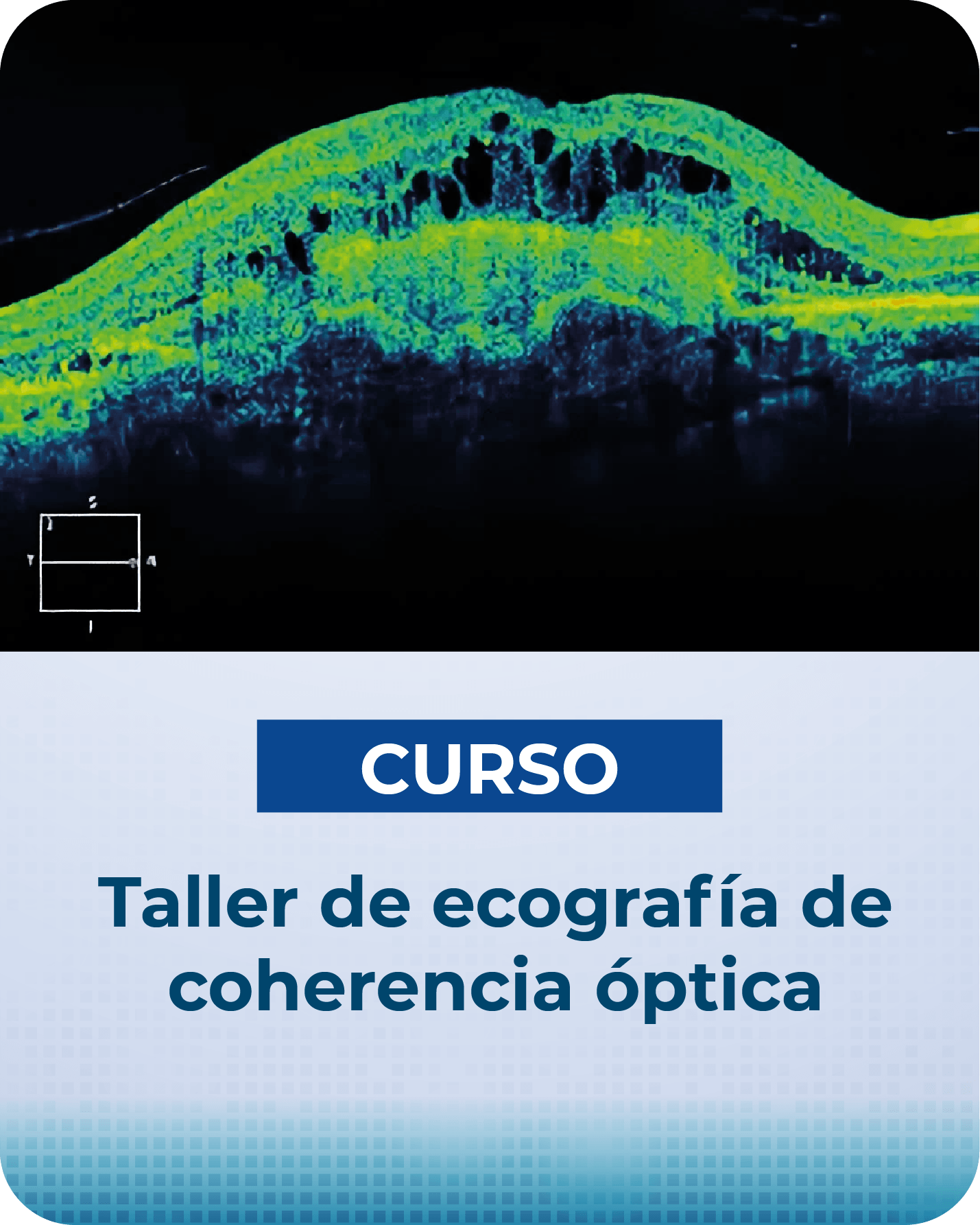 /08-ULTIMAS-NOVEDADES/CURSO1@3x-8.png - Noticia