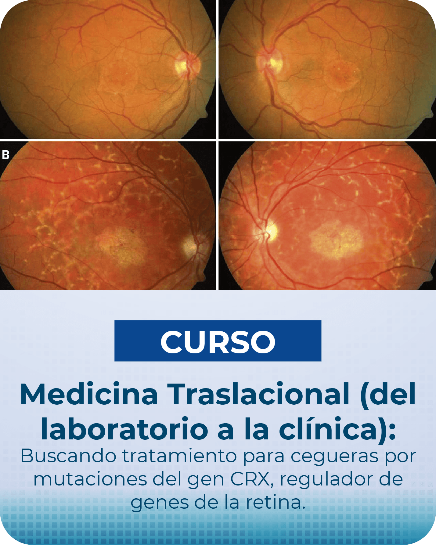 /08-ULTIMAS-NOVEDADES/CURSO2@3x-8.png - Noticia